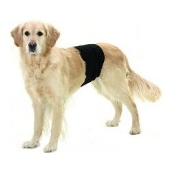 Kalhoty pro psy proti značkování 74x23cm