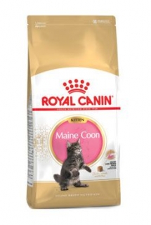 Royal Canin  KITTEN MAINE COON 10 kg