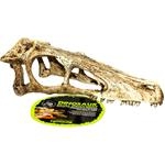 Dekorace umělá - lebka Raptor L Komodo 24x8x9cm