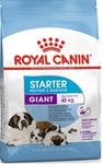 Royal Canin GIANT STARTER MB 15 KG