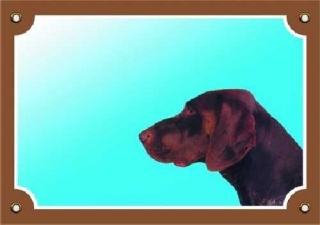 Barevná cedulka Pozor pes Německý ohař hnědý