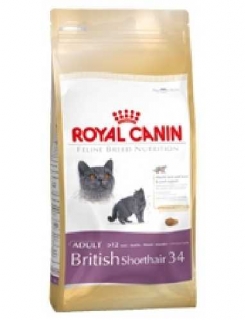 Royal Canin BRITISH SHORTHAIR 10kg
