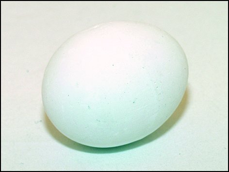 Vajíčko podkladek