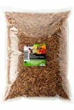 UGF moučný červ sušený, sáček 250g