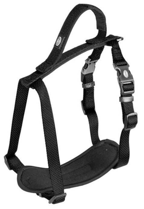 Postroj nylon North černý 2,5x80-100cm Duvo+