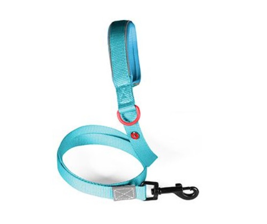 Vodítko pes PREMIUM nylon 25mm/1,2m tyrkysová Zolux