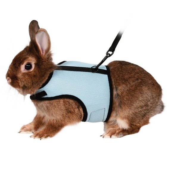 Postroj VESTA s vodítkem pro velkého králíka 25-40cm/1,20m