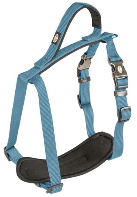 Postroj nylon North modrý 2,5x80-100cm Duvo+