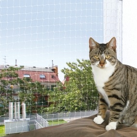 Ochranná síť pro kočky 6x3m transparentní