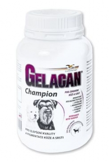 Gelacan Champion č-b. plv 150 g
