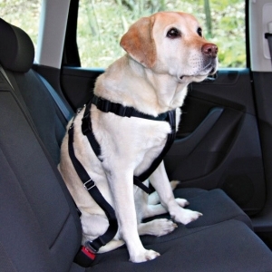 Nobby bezpečnostní postroj L pro psa do auta