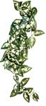 Dekorace umělá rostlina - popínavá Borneo Komodo 23cm