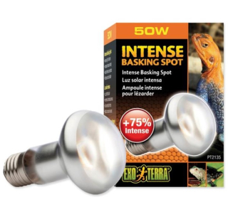 Žárovka terarijní Intense Basking Spot 50W ExoTerra