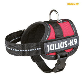 Julius-K9 silový postroj Baby 1/XS 30-40 cm, - červený