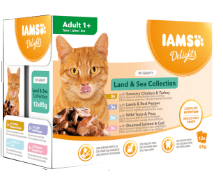 Iams Cat mix masa v omáčce pack 12x85g